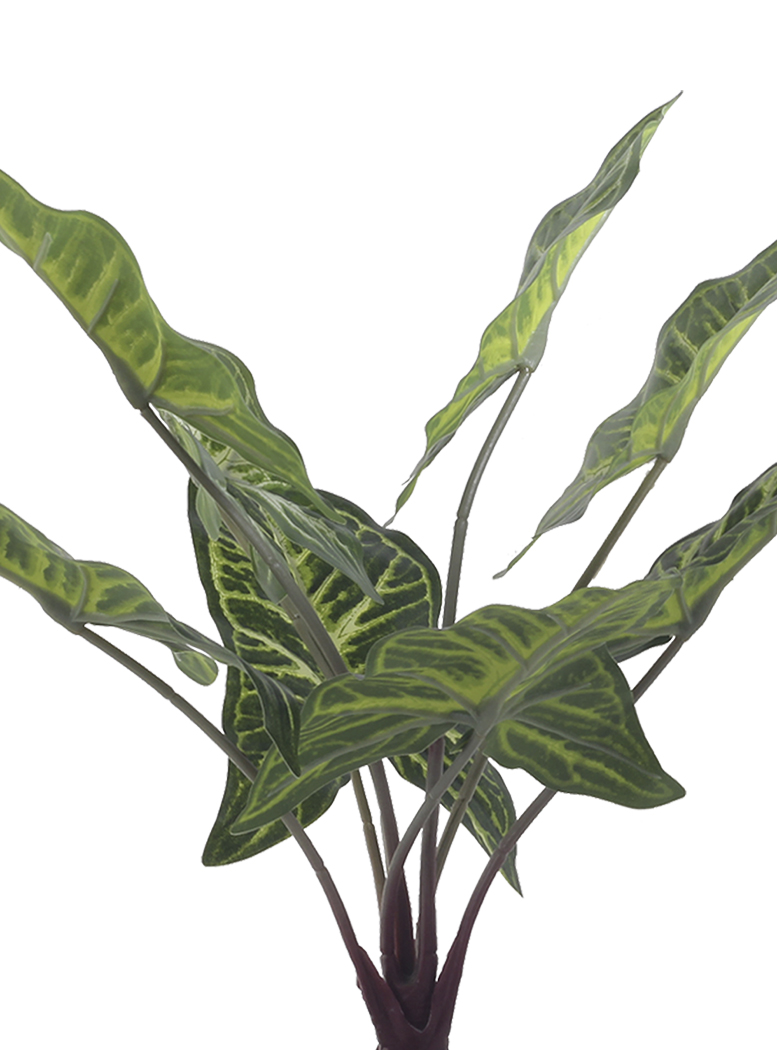 PLANTA DECORATIVA ARTIFICIAL ALOCASIA ZEBRINA - 3