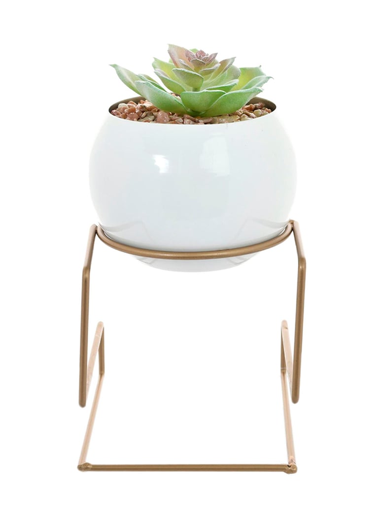 SUCULENTA BOLA PEDESTAL BLANCA - 1