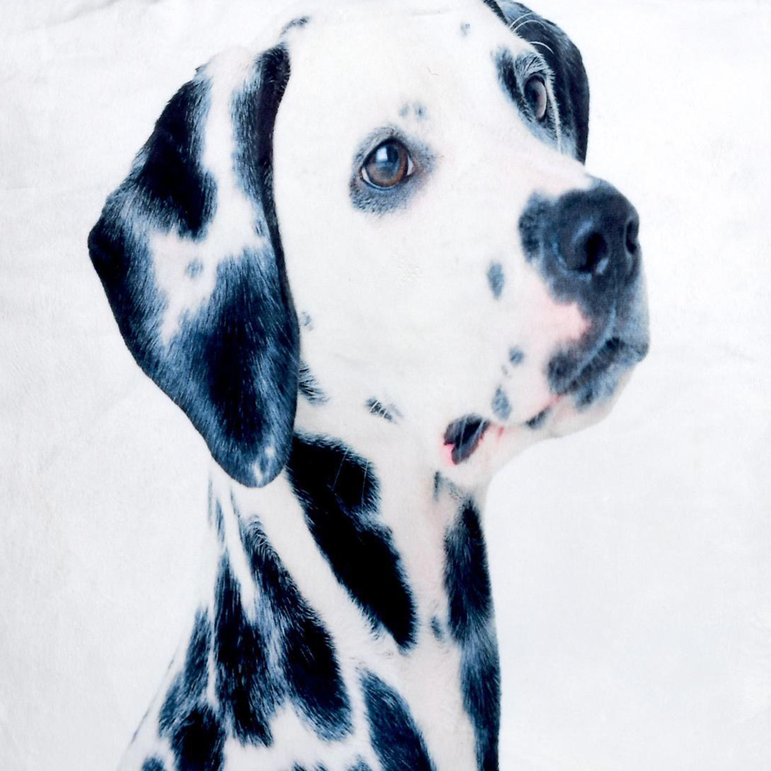 FUNDA MALLORCA DECORATIVA COJIN DALMATA 45 X 45 CM BLANCO - 2