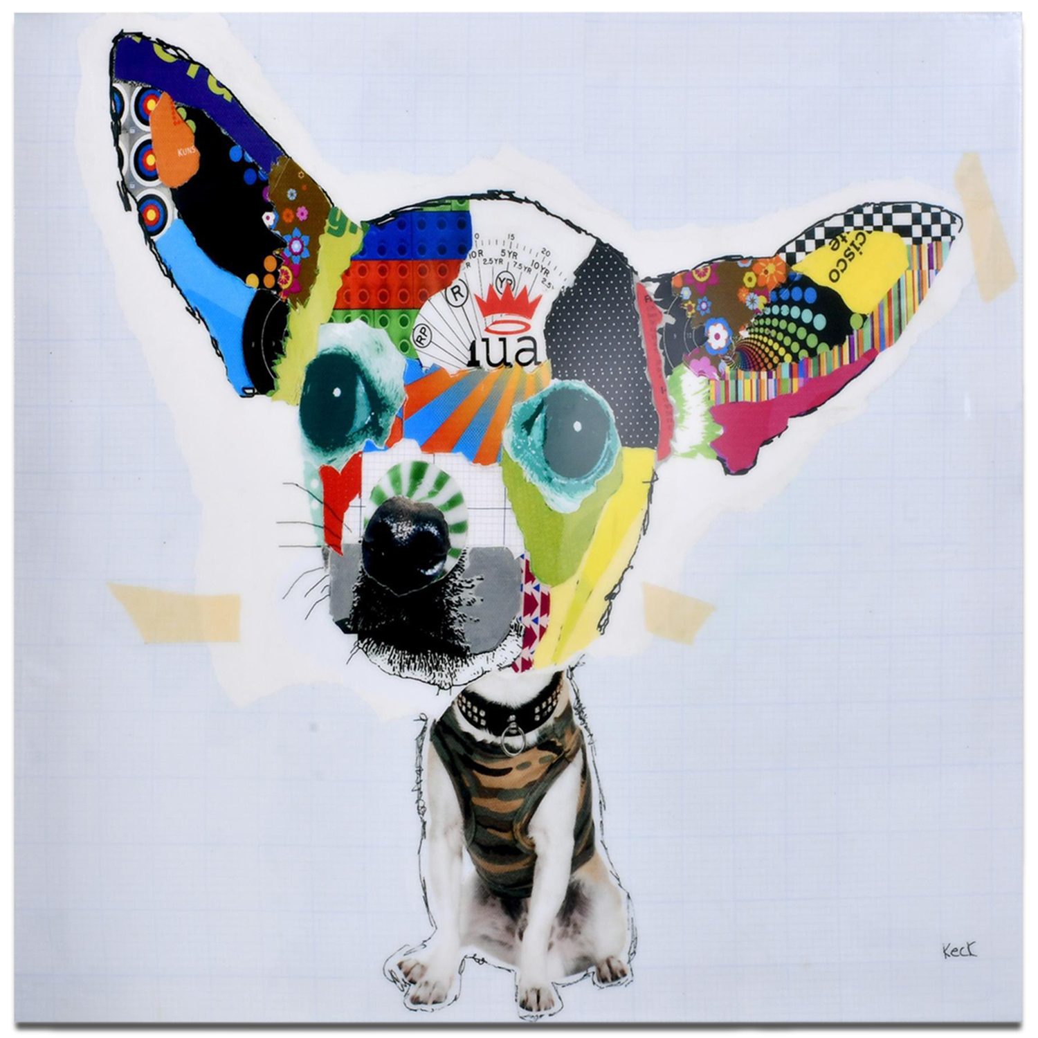 CUADRO DECORATIVO CHIGUAGUA | MULTICOLOR