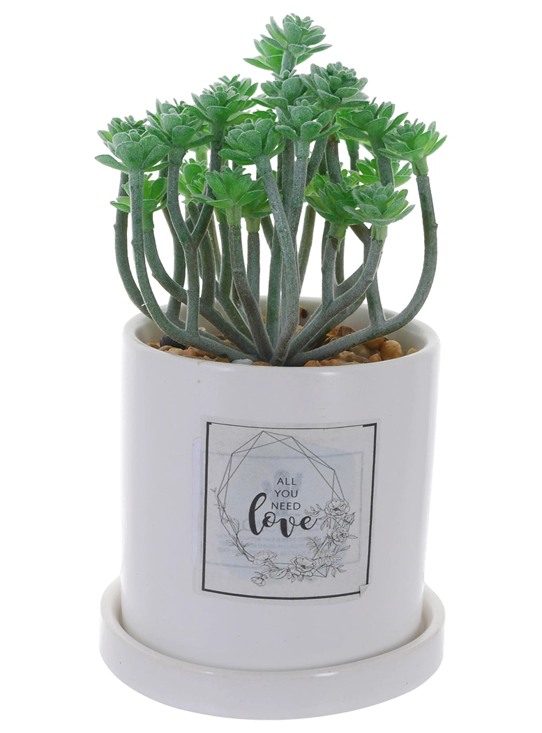 PLANTA DECORATIVA ALL YOU NEED LOVE - 1