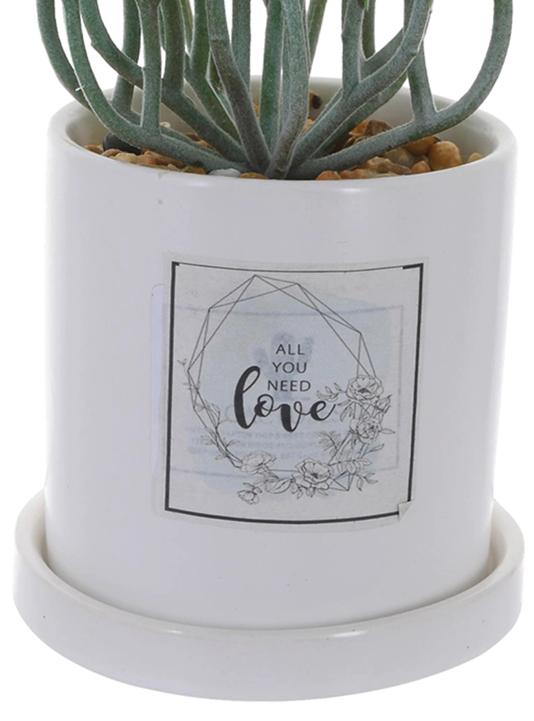 PLANTA DECORATIVA ALL YOU NEED LOVE - 2