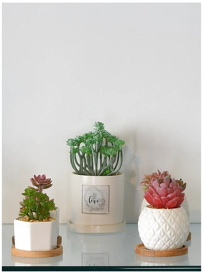 PLANTA DECORATIVA ALL YOU NEED LOVE - 3