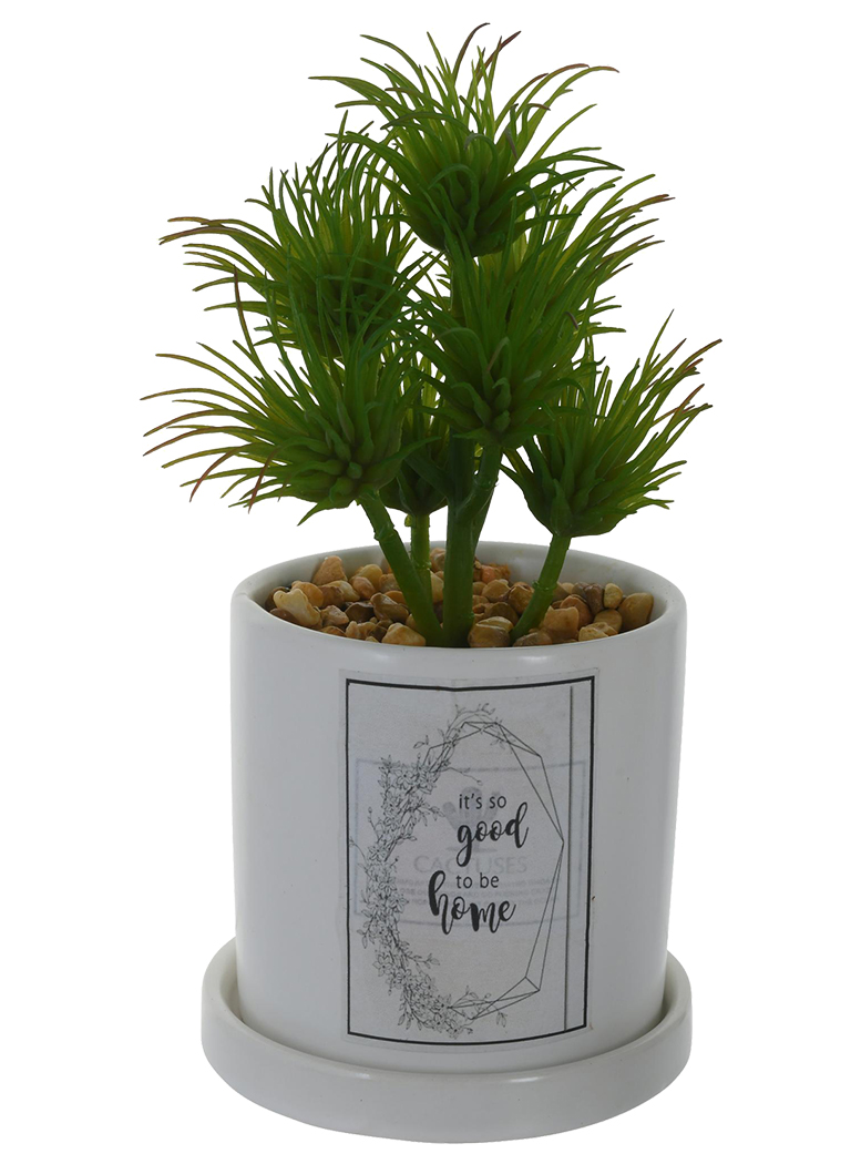 PLANTA DECORATIVA GOOD TO BE HOME - 1