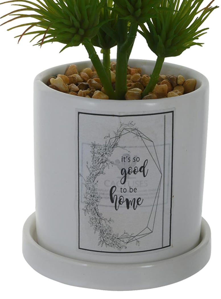 PLANTA DECORATIVA GOOD TO BE HOME - 2