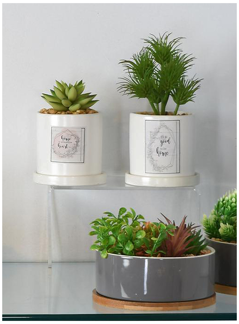 PLANTA DECORATIVA GOOD TO BE HOME - 3