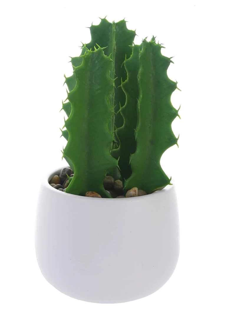 PLANTA DECORATIVA CACTUS SUCULENTO 25 CMS - 1