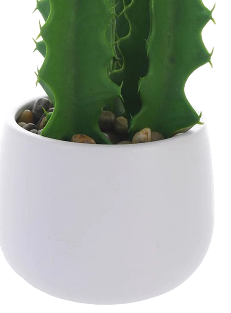 PLANTA DECORATIVA CACTUS SUCULENTO 25 CMS - 2