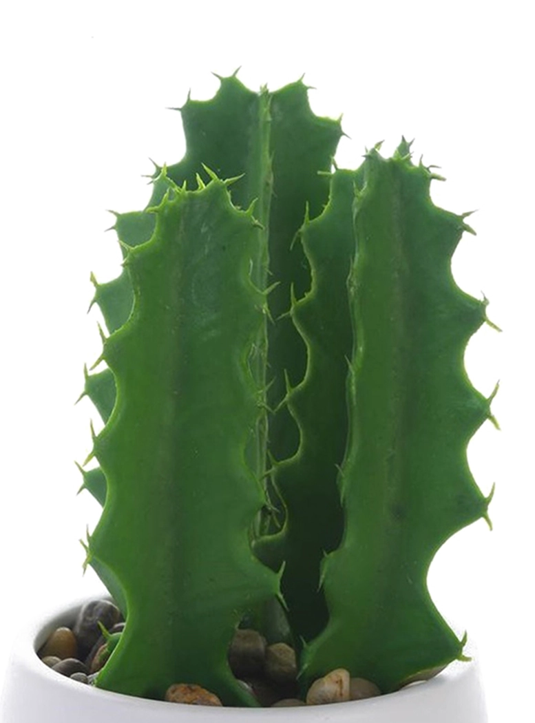 PLANTA DECORATIVA CACTUS SUCULENTO 25 CMS - 3