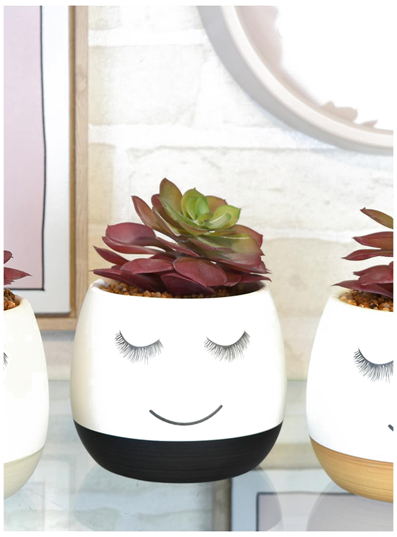 SUCULENTA DECORATIVA FLAVIA BLACK - 3