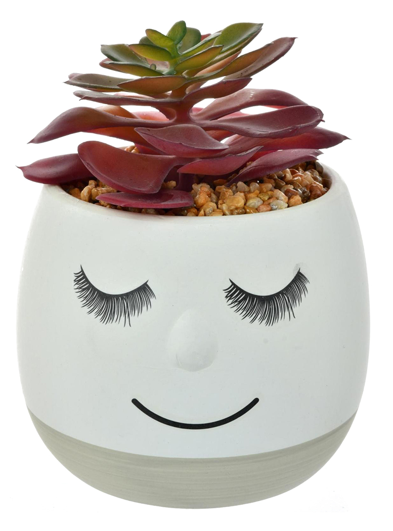 SUCULENTA DECORATIVA FLAVIA GREY