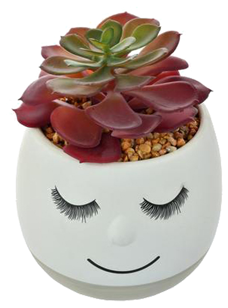 SUCULENTA DECORATIVA FLAVIA GREY - 2