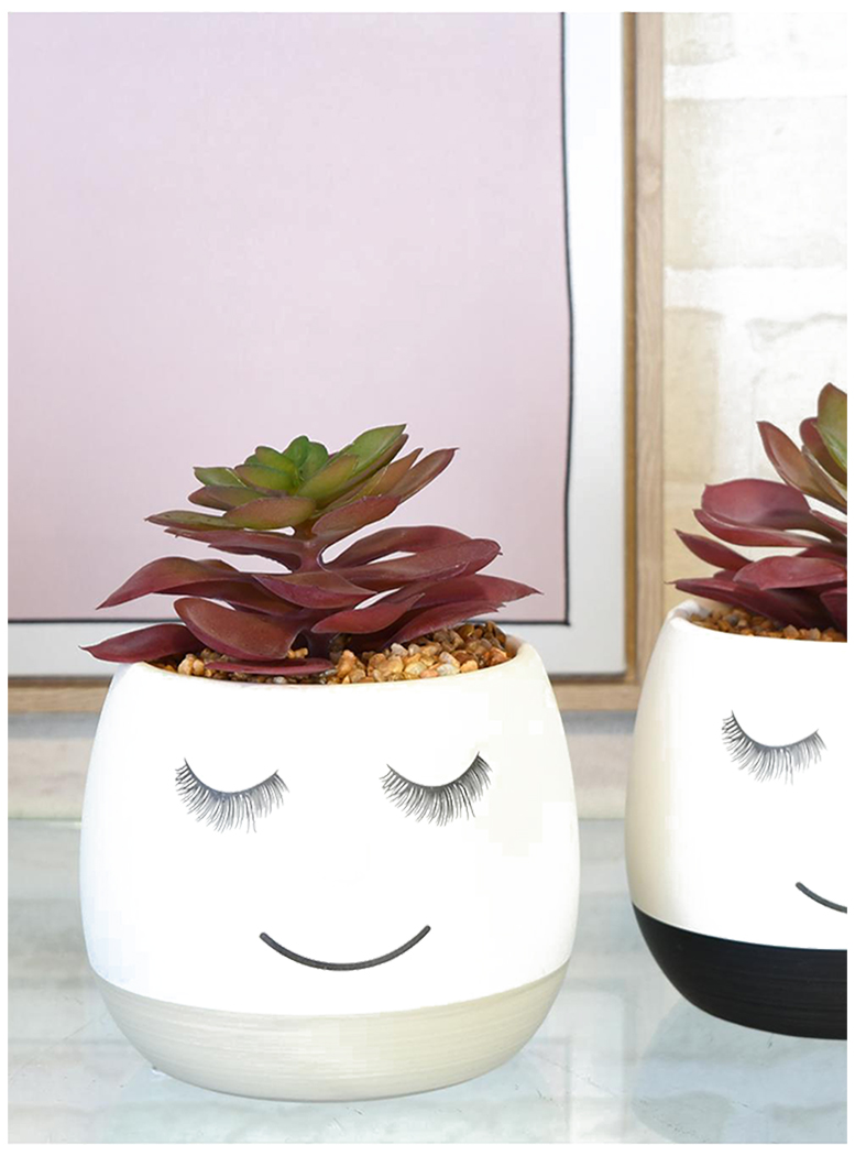 SUCULENTA DECORATIVA FLAVIA GREY - 3