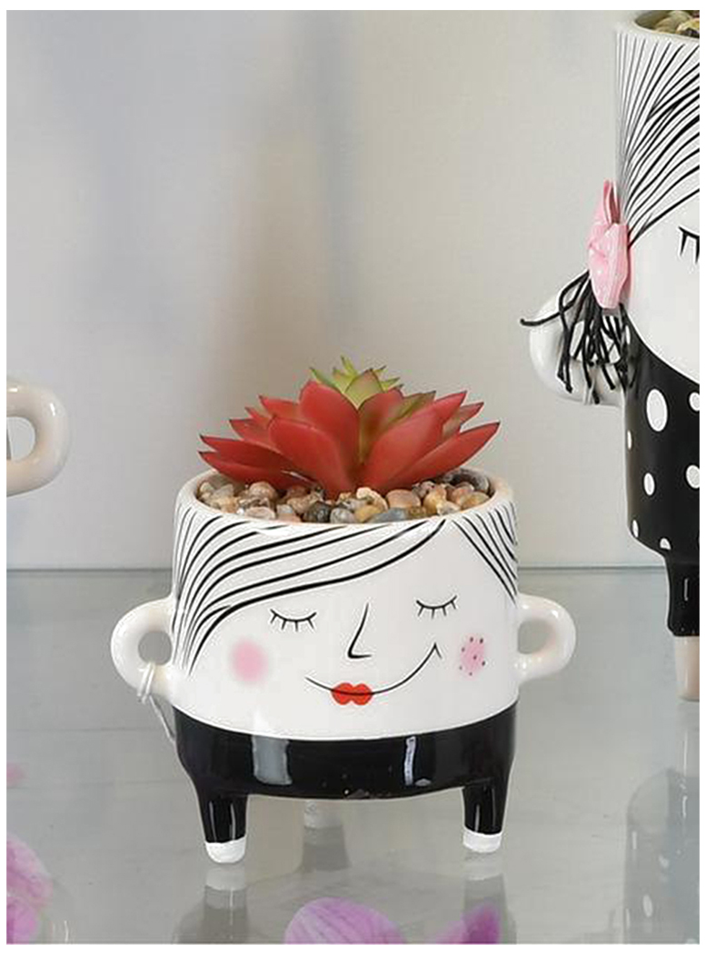 SUCULENTA DECORATIVA AMBROSIA ROJA CON MACETA - 3