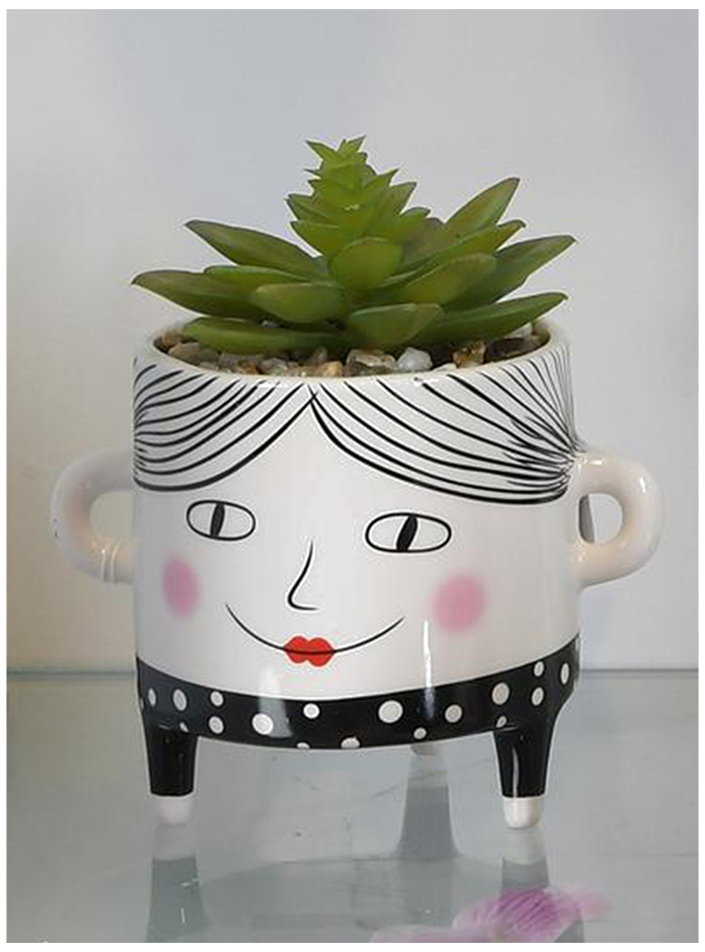 SUCULENTA DECORATIVA SOFIA VERDE CON MACETA - 3