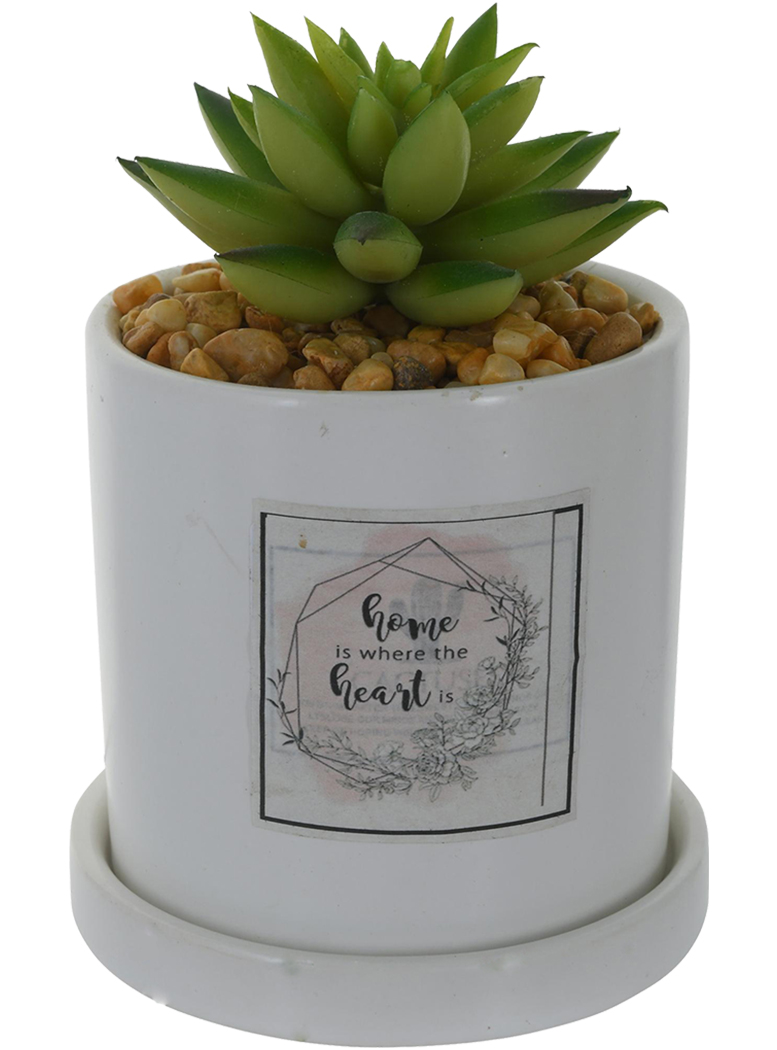 PLANTA DECORATIVA HOME IN THE HEART - 1