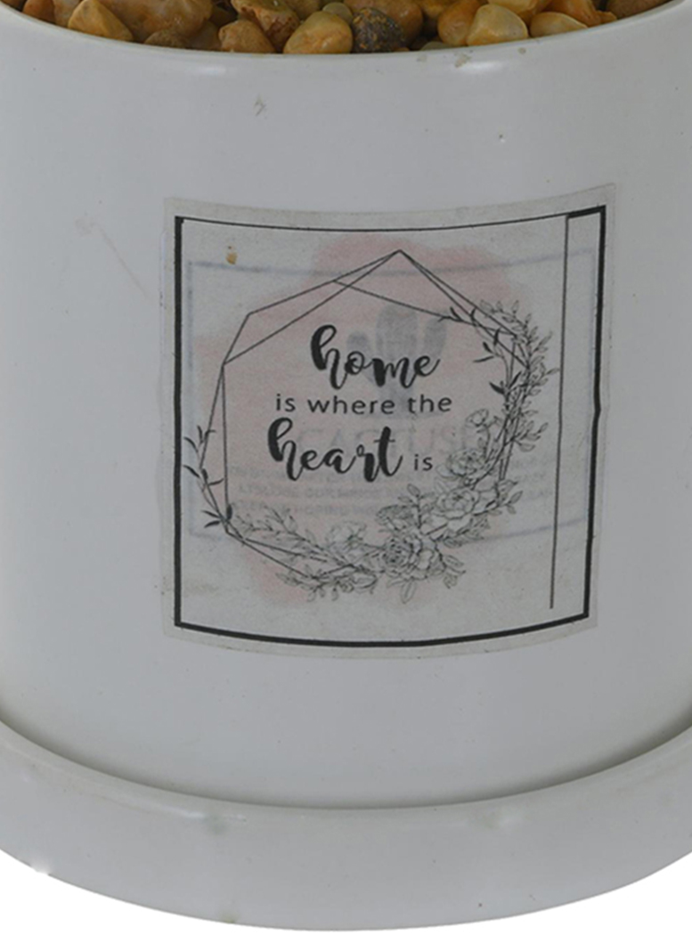 PLANTA DECORATIVA HOME IN THE HEART - 2