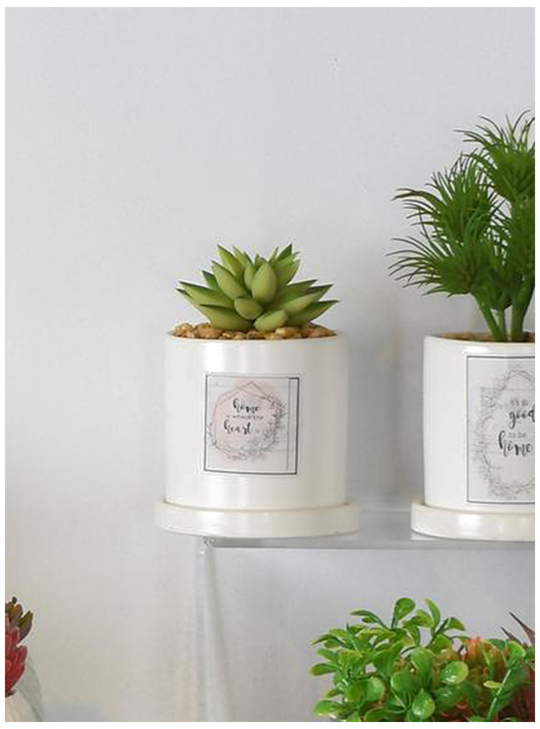 PLANTA DECORATIVA HOME IN THE HEART - 3
