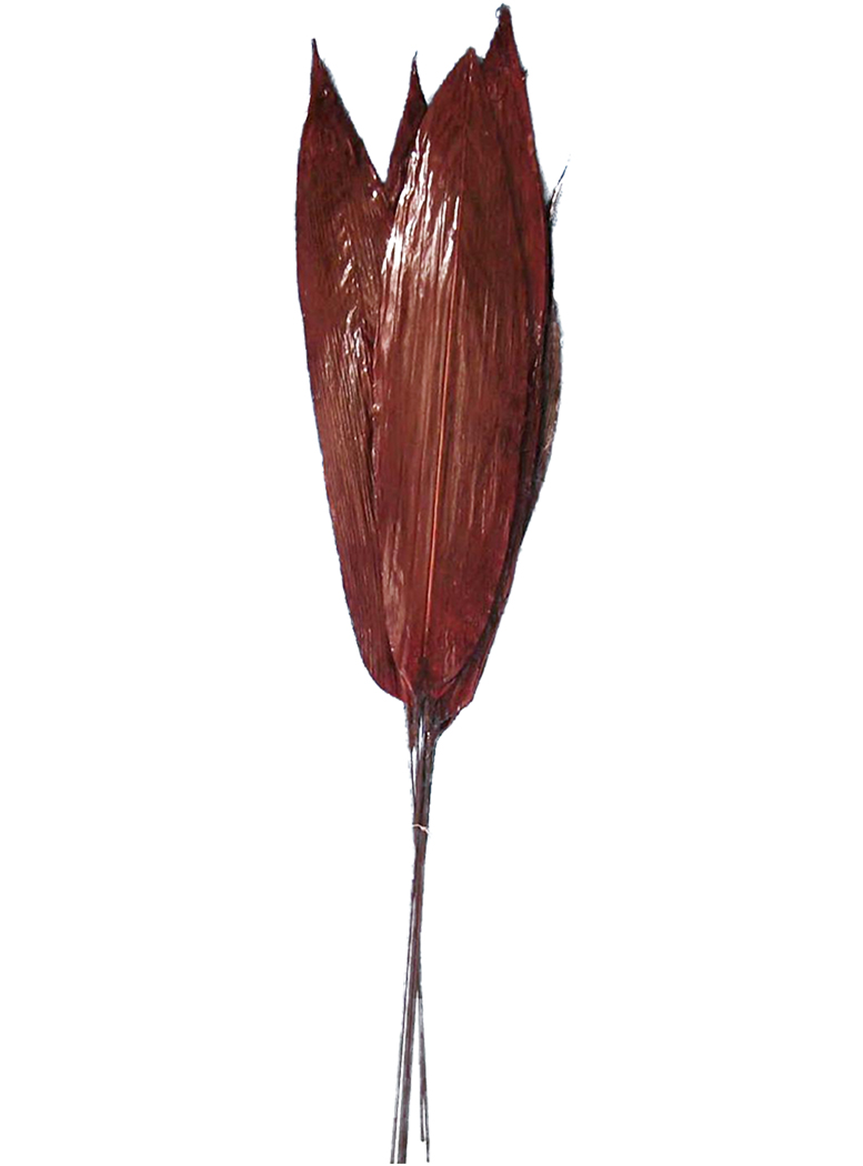 ARREGLO DECORATIVO RAMO ASPIDISTRA ROJO SECO 6 PIEZAS - 1