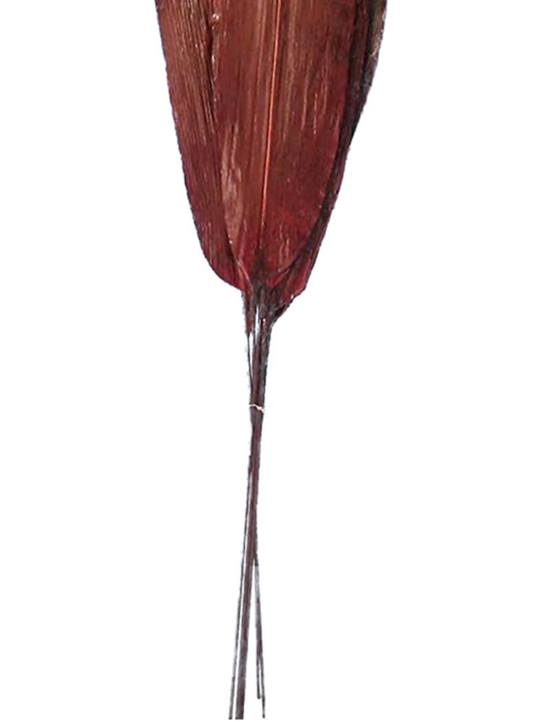 ARREGLO DECORATIVO RAMO ASPIDISTRA ROJO SECO 6 PIEZAS - 2