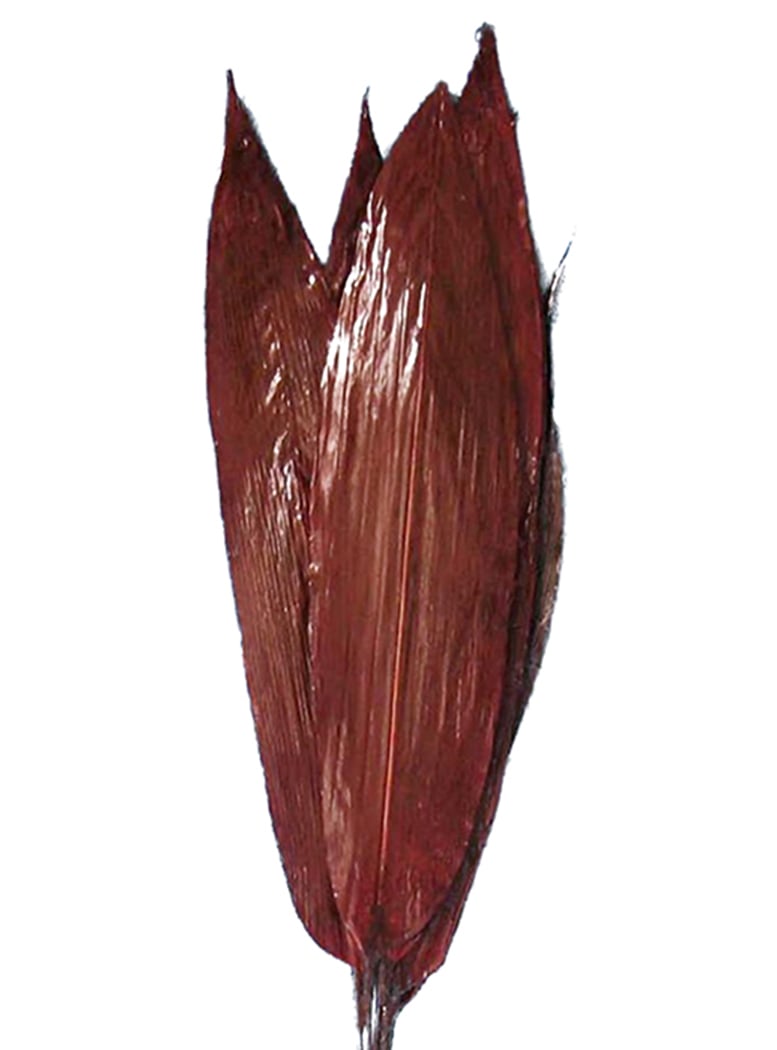 ARREGLO DECORATIVO RAMO ASPIDISTRA ROJO SECO 6 PIEZAS - 3