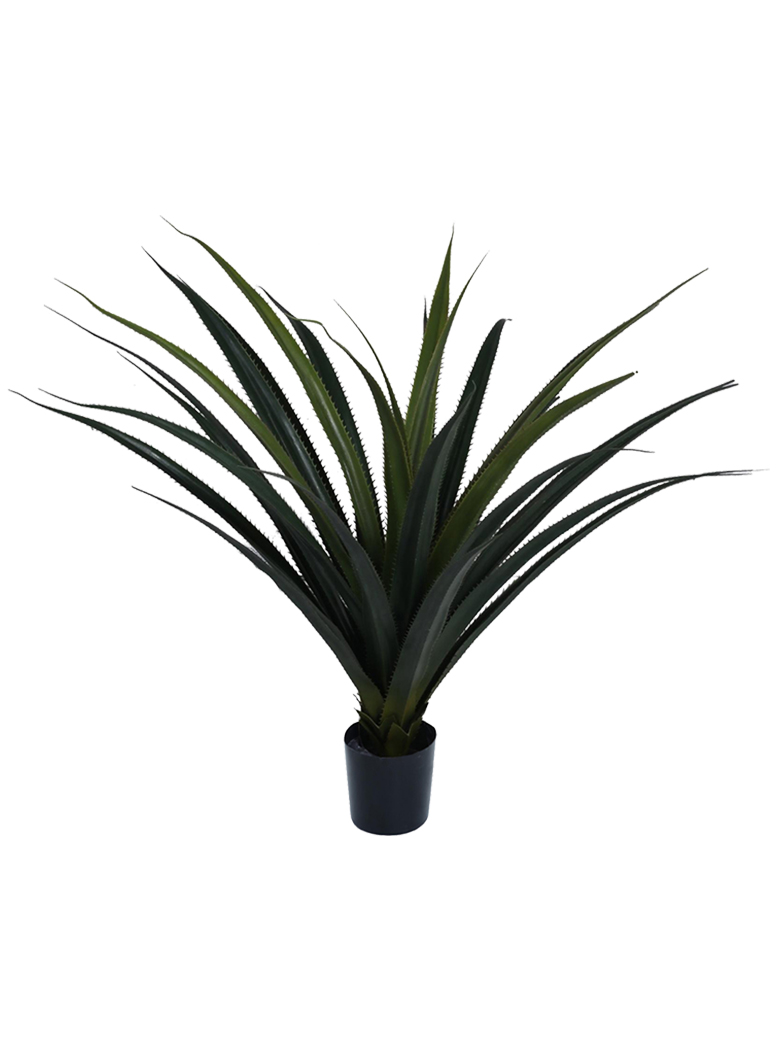 PLANTA DECORATIVA ÁGAVE PANADUS 80 CMS. - 1