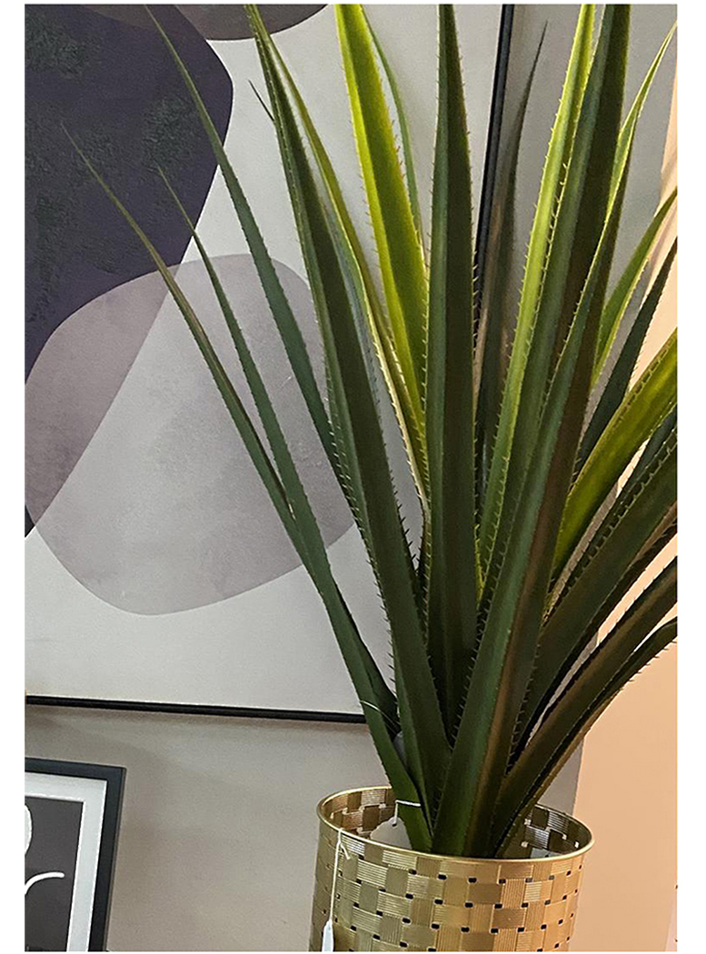 PLANTA DECORATIVA ÁGAVE PANADUS 80 CMS. - 3
