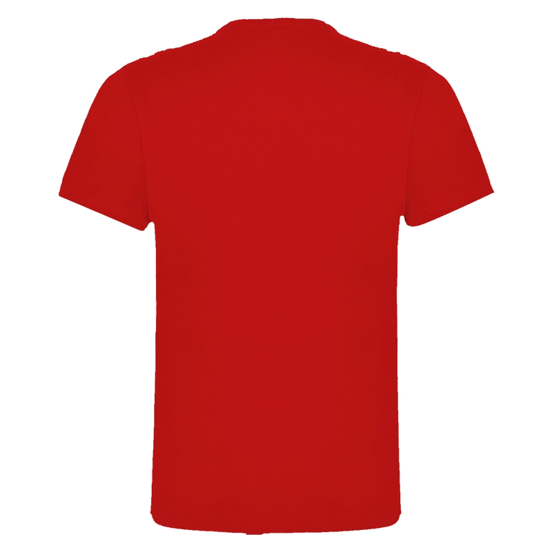 POLERA MANGA CORTA ALGODÓN HOMBRE ANDESLAND - 2