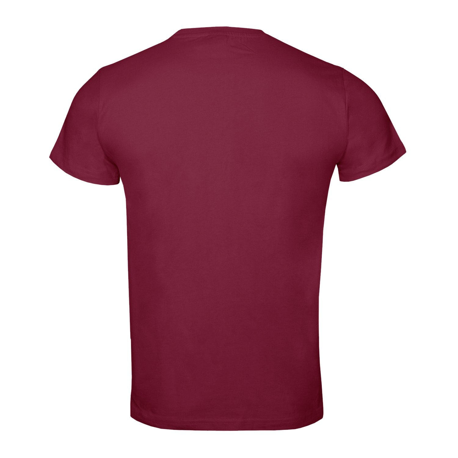 POLERA MANGA CORTA ALGODON BÁSICA UNISEX ANDESLAND - 2