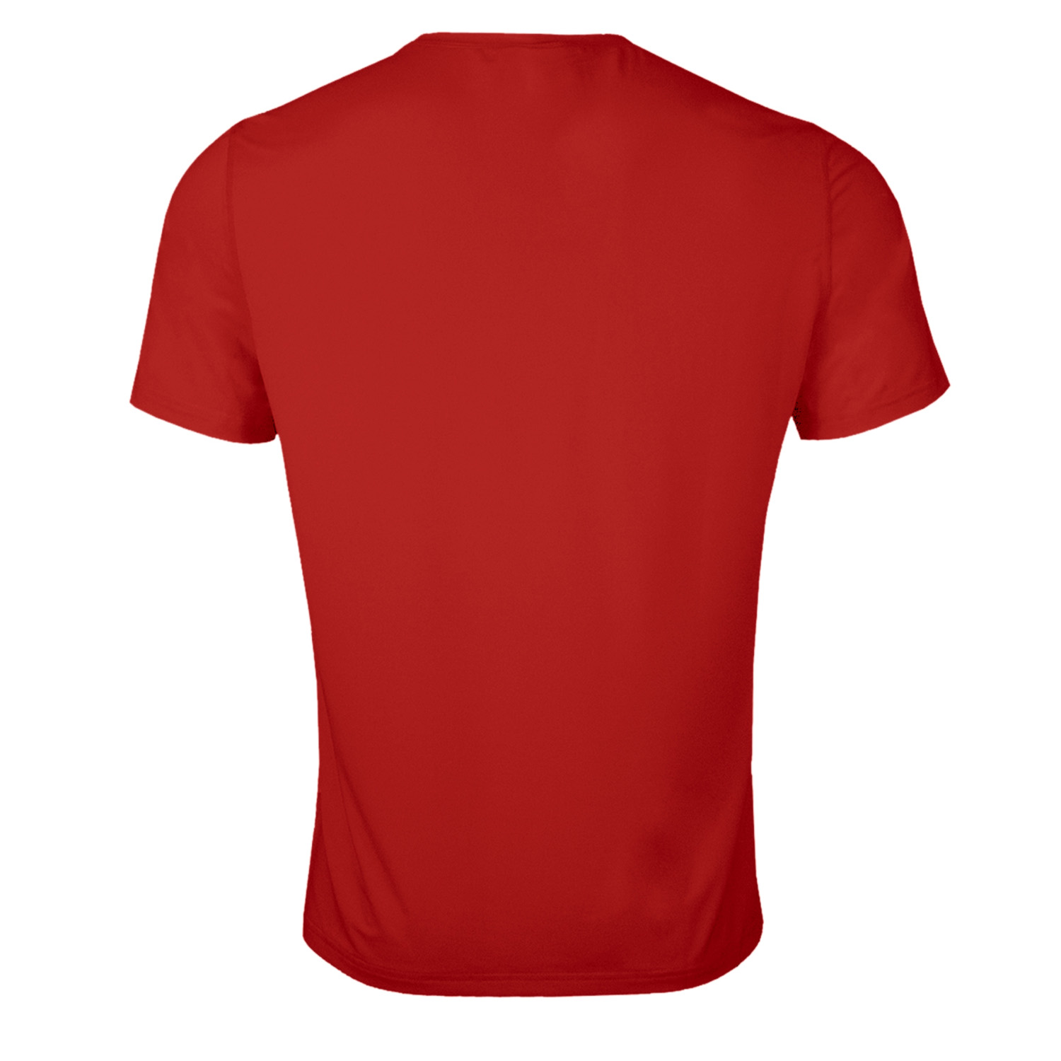POLERA MANGA CORTA HOMBRE ANDESLAND DRY FIT LISA SECADO RÁPIDO DEPORTIVO - 2
