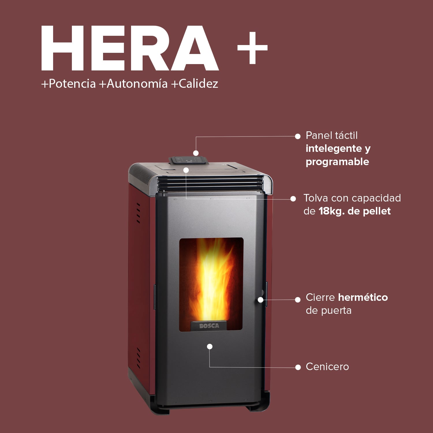 CALEFACTOR BOSCA A PELLET HERA + BURDEO - 8