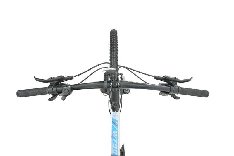 BICICLETA TOTEM MTB W790 ARO 29 TALLA 19 COLOR PLATEADO - 2