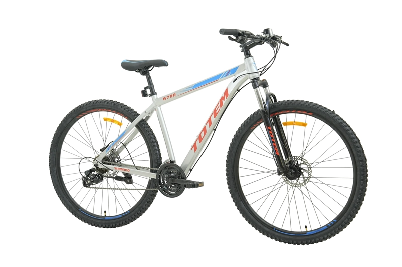 BICICLETA TOTEM MTB W790 ARO 29 TALLA 19 COLOR PLATEADO - 3