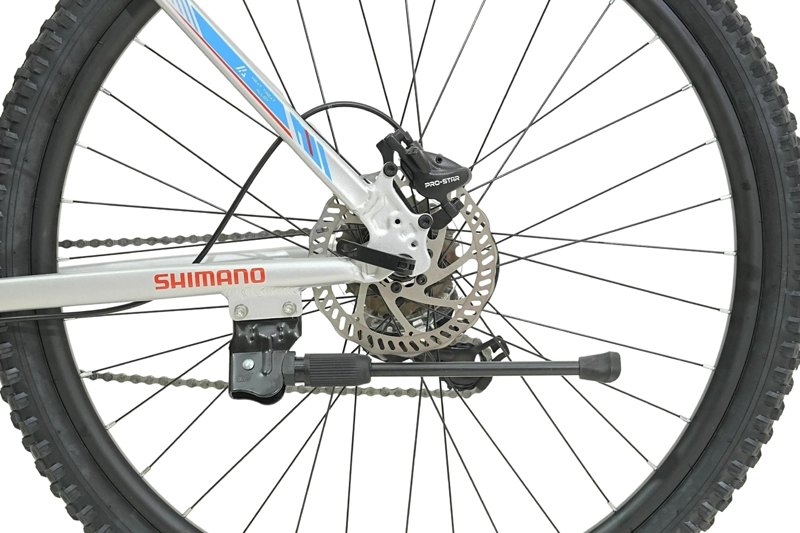 BICICLETA TOTEM MTB W790 ARO 29 TALLA 19 COLOR PLATEADO - 4