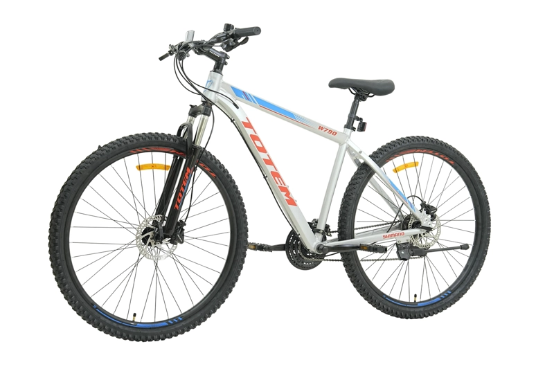 BICICLETA TOTEM MTB W790 ARO 29 TALLA 19 COLOR PLATEADO - 5