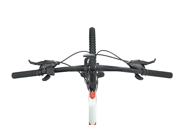 BICICLETA TOTEM MTB W760 ARO 29 TALLA 19 COLOR BLANCO - 3