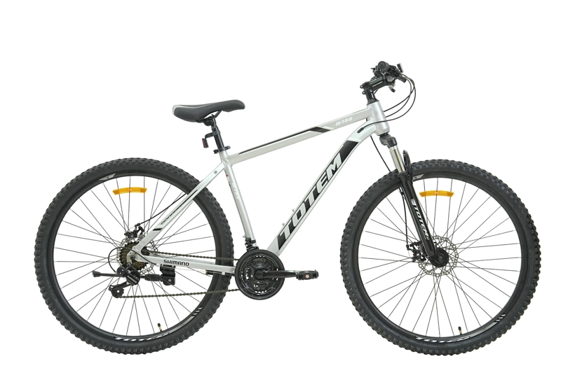 BICICLETA TOTEM MTB W760 ARO 29 TALLA 19 PLATEADO - 1