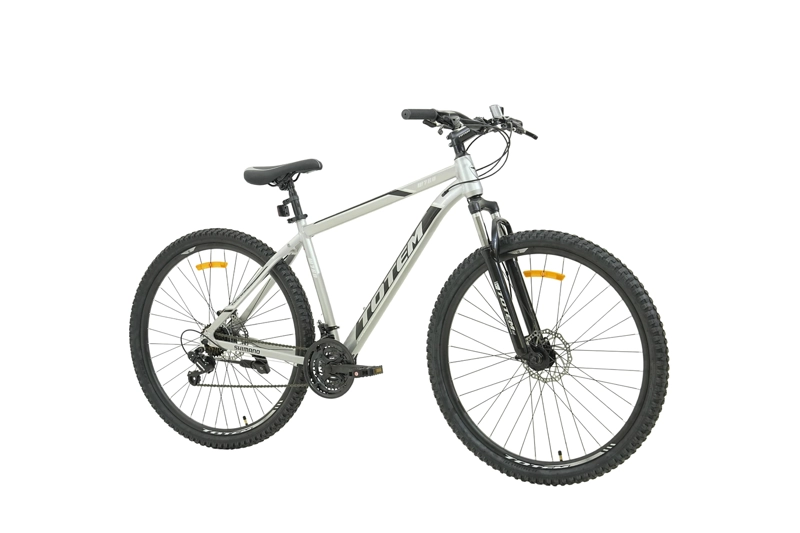 BICICLETA TOTEM MTB W760 ARO 29 TALLA 19 PLATEADO - 2