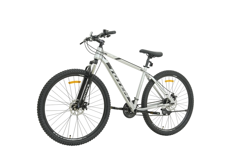 BICICLETA TOTEM MTB W760 ARO 29 TALLA 19 PLATEADO - 5