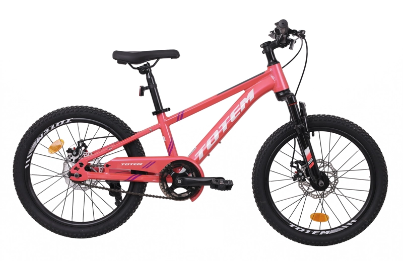 BICICLETA TOTEM MTB ARO 20 SUNSHINE COLOR ROSADA - 1