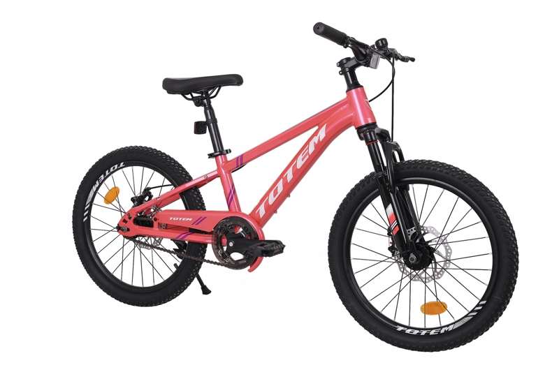 BICICLETA TOTEM MTB ARO 20 SUNSHINE COLOR ROSADA - 2