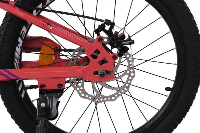 BICICLETA TOTEM MTB ARO 20 SUNSHINE COLOR ROSADA - 3