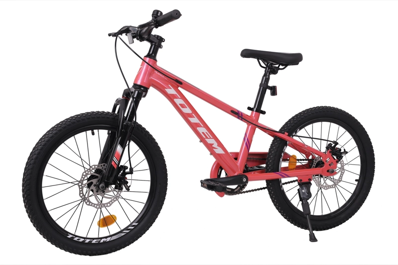 BICICLETA TOTEM MTB ARO 20 SUNSHINE COLOR ROSADA - 4