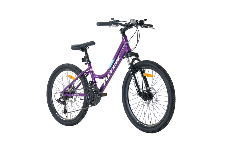 BICICLETA TOTEM MTB ARO 24 MODELO SITARA MORADO - 2