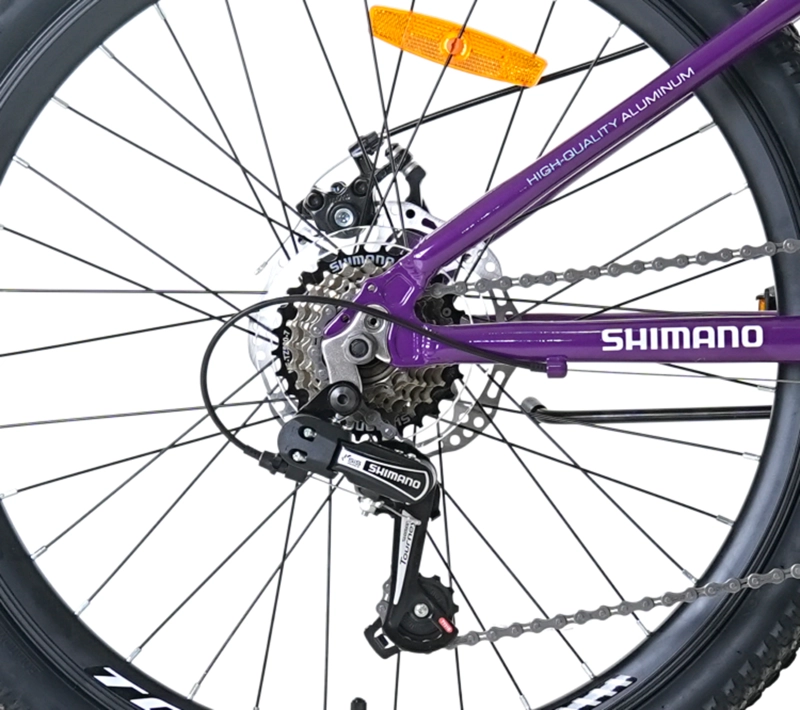 BICICLETA TOTEM MTB ARO 24 MODELO SITARA MORADO - 4
