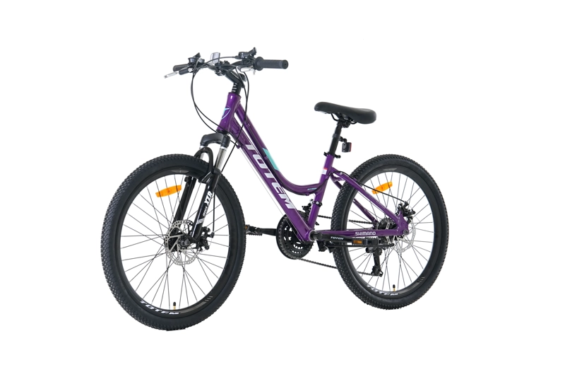 BICICLETA TOTEM MTB ARO 24 MODELO SITARA MORADO - 5