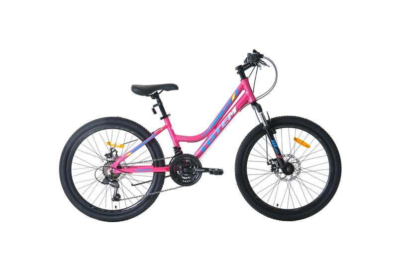 BICICLETA TOTEM MTB ARO 24 MODELO SITARA ROSADO - 2