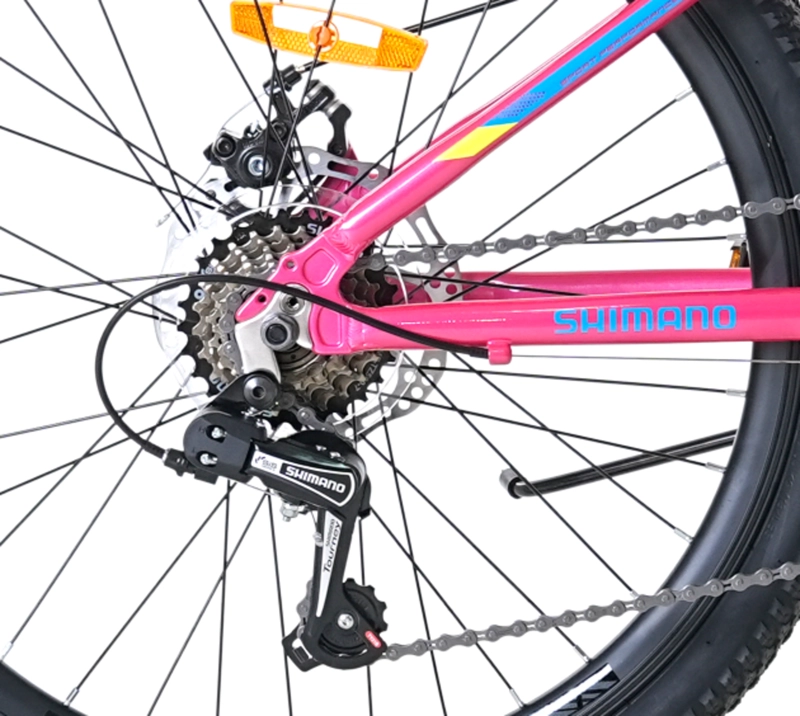 BICICLETA TOTEM MTB ARO 24 MODELO SITARA ROSADO - 3