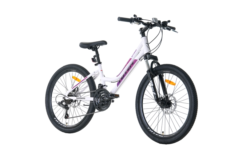 BICICLETA TOTEM MTB ARO 24 MODELO SITARA BLANCO - 2