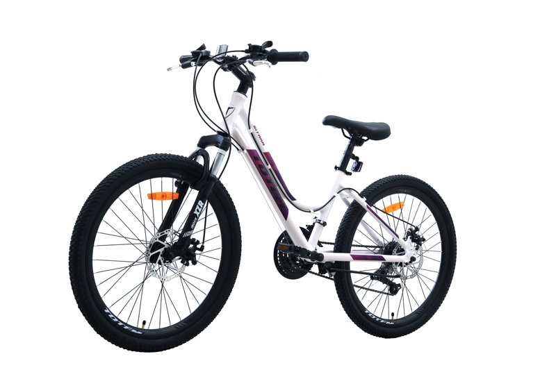 BICICLETA TOTEM MTB ARO 24 MODELO SITARA BLANCO - 6